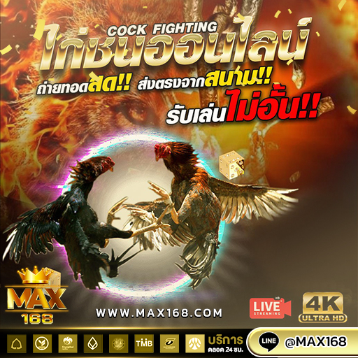เกมรูปแบบใหม่ทันสมัย ไก่ชน ออนไลน์ เล่นง่าย อัตราจ่ายสูง